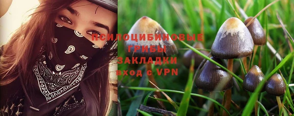 МДПВ Арсеньев