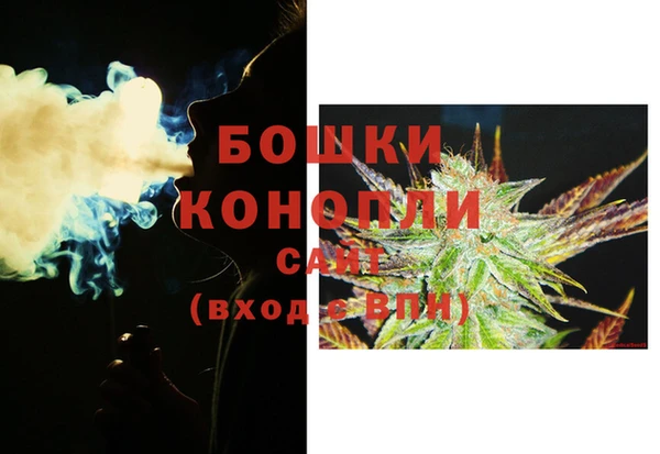 MESCALINE Аркадак