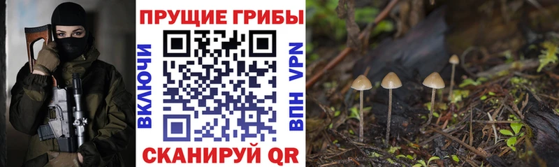 Псилоцибиновые грибы ЛСД Советская Гавань